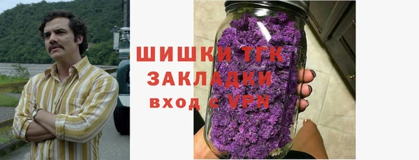 шишки Абаза