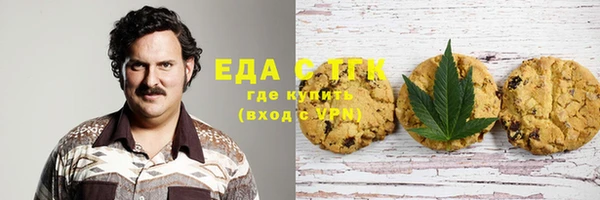 шишки Абаза