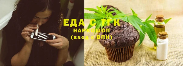 шишки Абаза