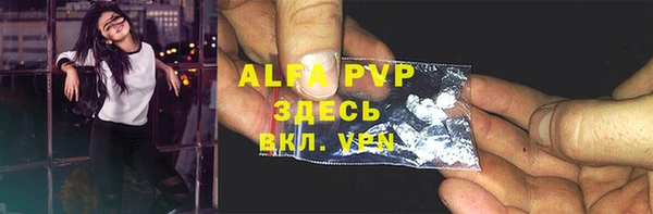 шишки Абаза