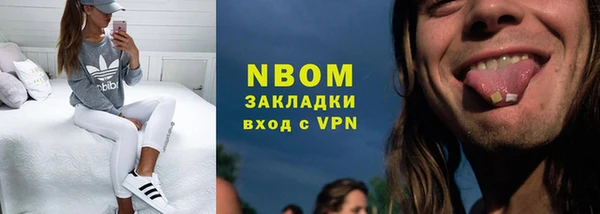 шишки Абаза