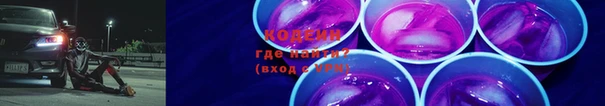 шишки Абаза
