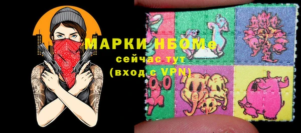 шишки Абаза