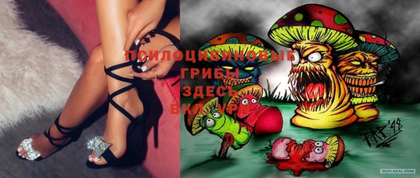 шишки Абаза