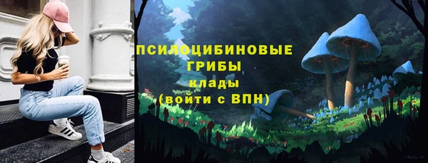 шишки Абаза
