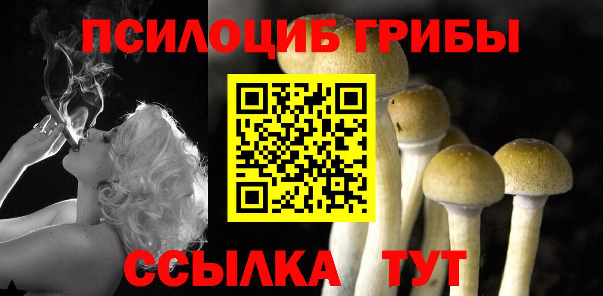 сколько стоит  Вход с VPN  Барнаул  Галлюциногенные грибы мицелий 