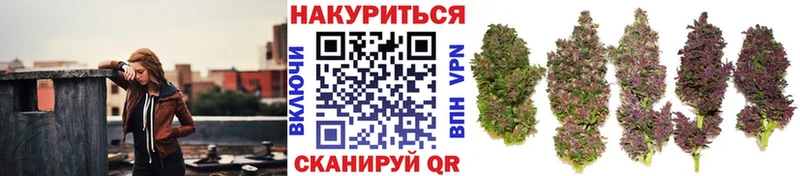 Каннабис гибрид  Барнаул 
